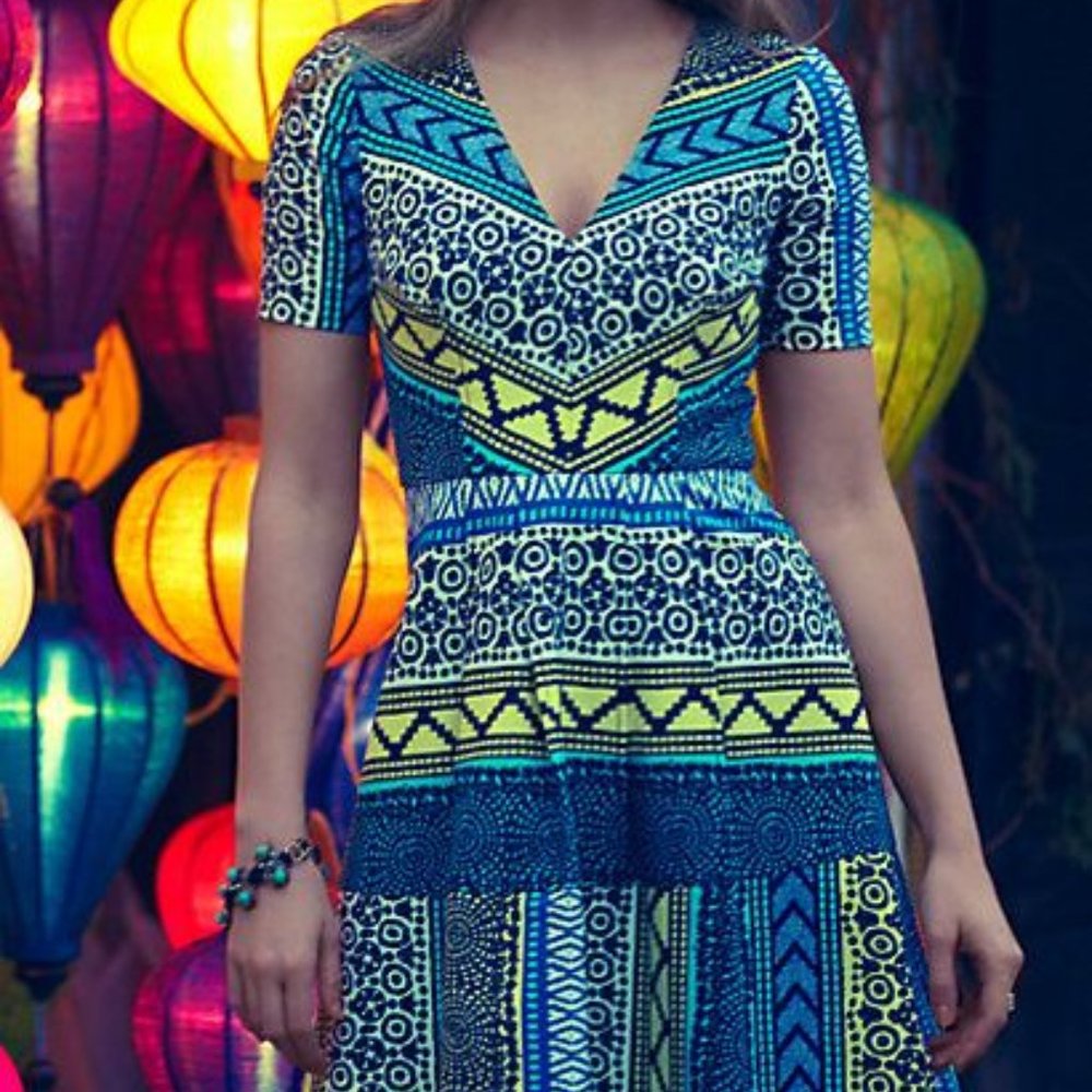 Anthropologie New Moon Dress Colorful Fit & Flare Cotton V-Neck Tracy Reese NEW - Picture 4 of 5